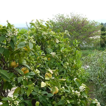 Maison d'hôtes La Bastide Des Senteurs *